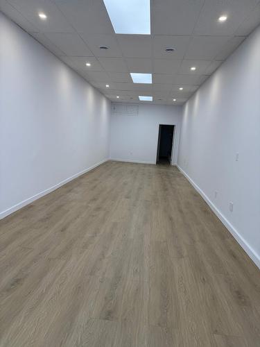 Vue d'ensemble - 1329 Av. Du Mont-Royal E., Montréal (Le Plateau-Mont-Royal), QC 