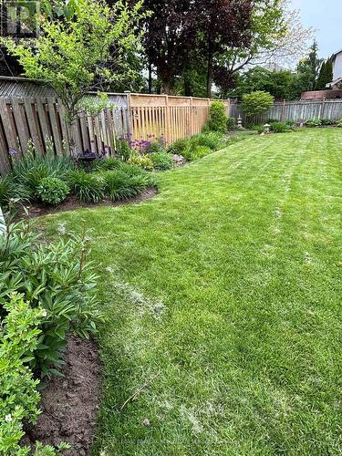 755 Maple Avenue, Burlington, ON - Outdoor