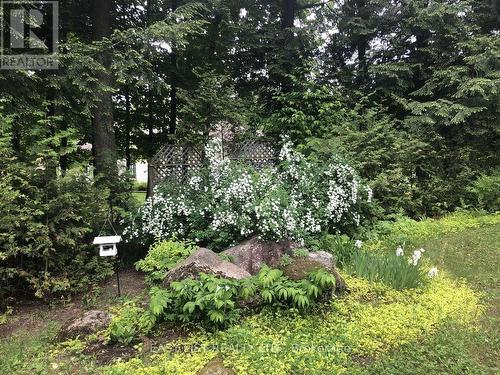 704 Pattee Road, Champlain, ON - Outdoor