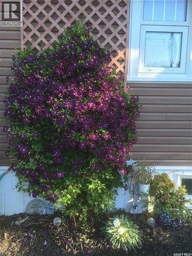 625 Centre Street, Shaunavon, SK - Outdoor