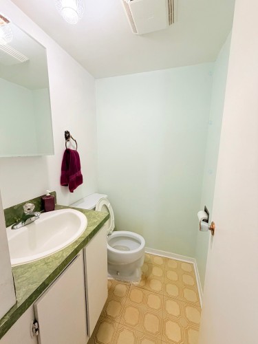 Salle d'eau - 4455 Rue Jolicoeur, Dollard-Des-Ormeaux, QC - Indoor Photo Showing Bathroom