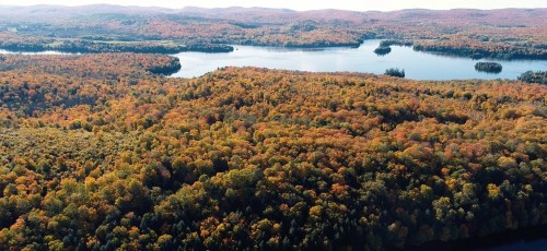 Terre/Terrain - Ch. Tour-Du-Lac-Des-Îles, Mont-Laurier, QC 