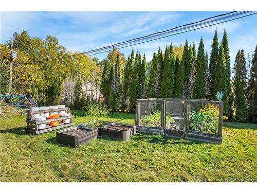 162 Burpee St, Fredericton, NB 