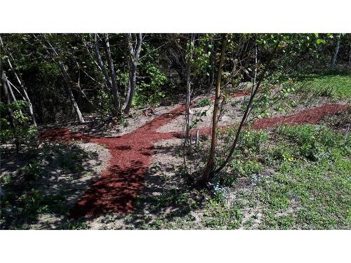 162 Burpee St, Fredericton, NB 