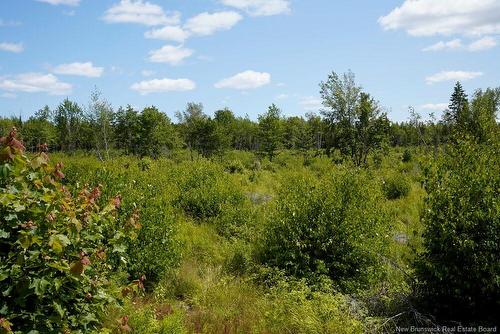 620 Spring Brook Rd, South Branch, NB 