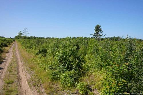 620 Spring Brook Rd, South Branch, NB 