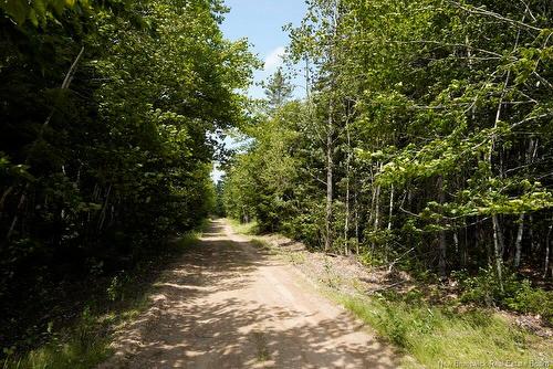 620 Spring Brook Rd, South Branch, NB 