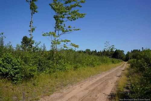 620 Spring Brook Rd, South Branch, NB 