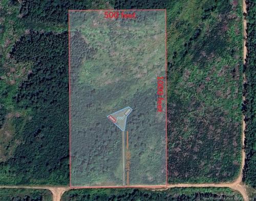 620 Spring Brook Rd, South Branch, NB 
