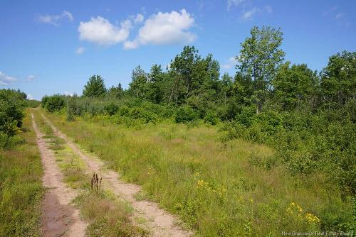 620 Spring Brook Rd, South Branch, NB 