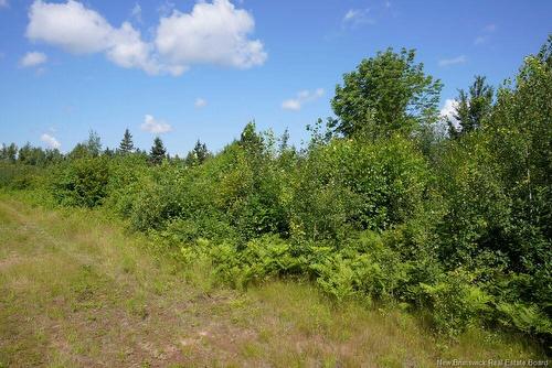 620 Spring Brook Rd, South Branch, NB 