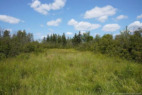 620 Spring Brook Rd, South Branch, NB 