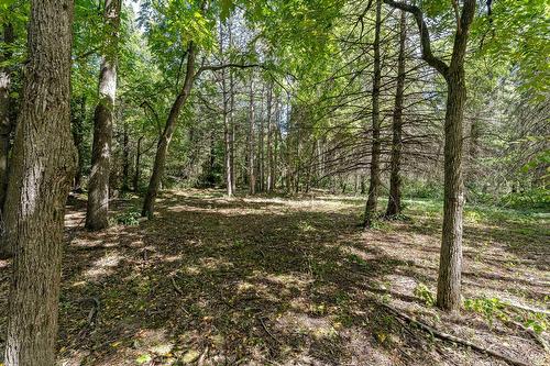 Terre/Terrain - 3483 Rue Principale, Dunham, QC 