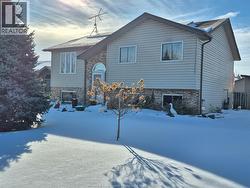 3 HAINER  Amherstburg, ON N9V 4A2