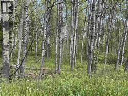 LOT 4 LAKESIDE COURT  103 Mile House, BC V0K 2E0