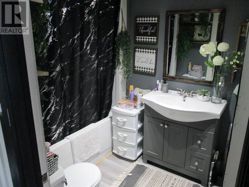 31A Main Street, Springdale, NL - Indoor Photo Showing Bathroom