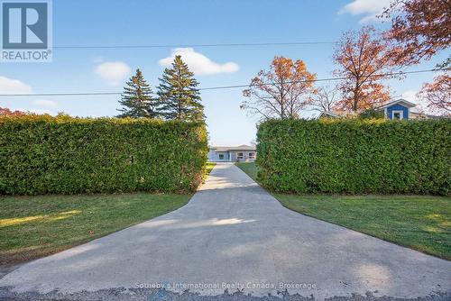 Privacy from the road - 1420 Tiny Beaches Road N, Tiny, ON - Outdoor