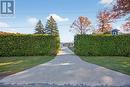 Privacy from the road - 1420 Tiny Beaches Road N, Tiny, ON  - Outdoor 