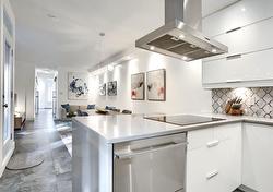 1218 Rue Alexandre-DeSève  Montréal (Ville-Marie), QC H2L 2T9