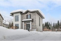 43 Rue Solidago  Sainte-Brigitte-De-Laval, QC G0A 3K0