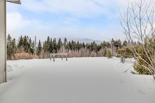 Cour - 43 Rue Solidago, Sainte-Brigitte-De-Laval, QC - Outdoor With View