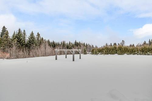 Cour - 43 Rue Solidago, Sainte-Brigitte-De-Laval, QC - Outdoor With View