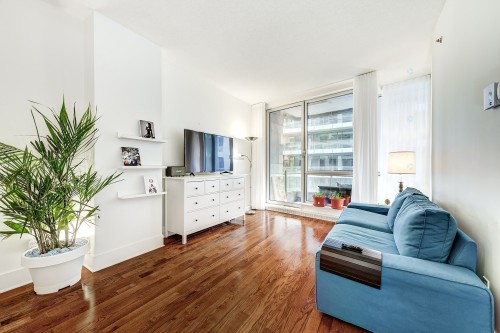 Salon - 507-370 Rue St-André, Montréal (Ville-Marie), QC - Indoor Photo Showing Living Room