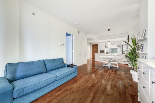 Salon - 507-370 Rue St-André, Montréal (Ville-Marie), QC - Indoor Photo Showing Living Room
