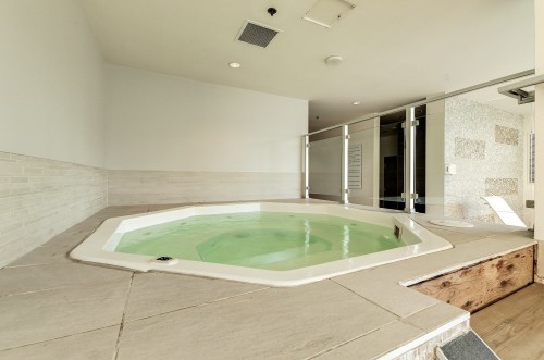 Spa - 507-370 Rue St-André, Montréal (Ville-Marie), QC - Indoor Photo Showing Other Room With In Ground Pool