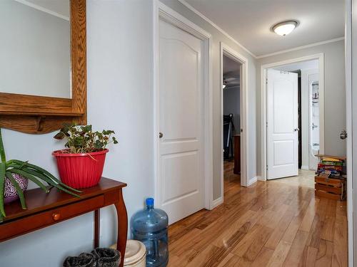 55 Dan R. Drive, Gulf Shore, NS 