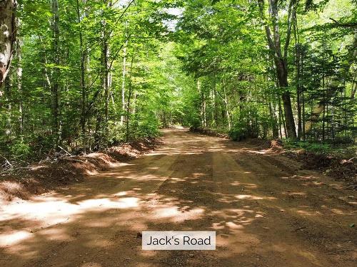 0 Jack'S Road, Flat River, PE 