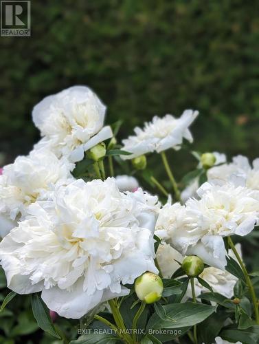 636 Front Road, Champlain, ON - Outdoor With View