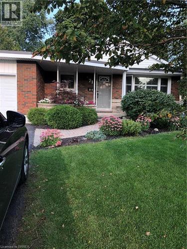 summer - 71 Pinecrest Drive, Kitchener, ON - Outdoor With Deck Patio Veranda