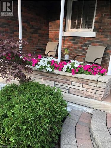 summer - 71 Pinecrest Drive, Kitchener, ON - Outdoor