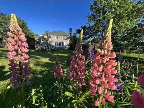 3746 Highway 1, Allains Creek, NS 