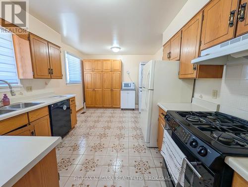 50 Chetwood Street, St. Catharines (Western Hill), ON - Indoor Photo Showing Kitchen With Double Sink