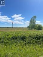 Waycott Land Vanscoy Rm No. 345, SK S0K 0J0