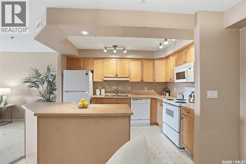 102 2213 Adelaide Street E, Saskatoon, SK - Indoor Photo Showing Kitchen With Double Sink
