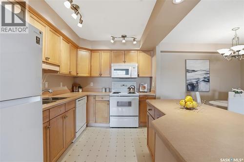 102 2213 Adelaide Street E, Saskatoon, SK - Indoor Photo Showing Kitchen With Double Sink