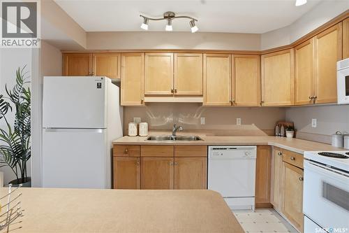 102 2213 Adelaide Street E, Saskatoon, SK - Indoor Photo Showing Kitchen With Double Sink