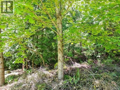 6237 Lund, Powell River, BC - Outdoor