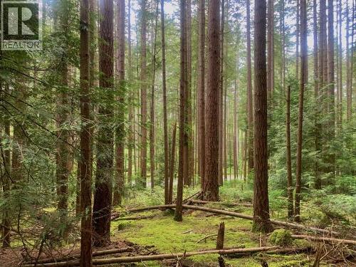 6237 Lund, Powell River, BC - Outdoor With View