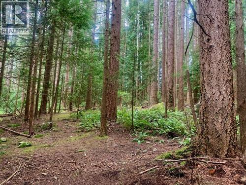 6237 Lund, Powell River, BC - Outdoor With View