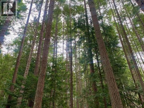 6237 Lund, Powell River, BC - Outdoor With View