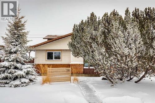 220 Templeby Place Ne, Calgary, AB - Outdoor