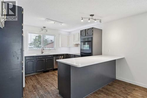 220 Templeby Place Ne, Calgary, AB - Indoor Photo Showing Kitchen With Upgraded Kitchen