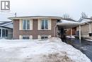 19 Valery Court, Hamilton, ON  - Outdoor 