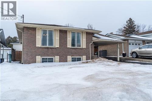 19 Valery Court, Hamilton, ON - Outdoor