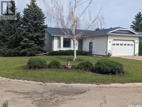 10 Meadows Place, Watrous, SK - Outdoor