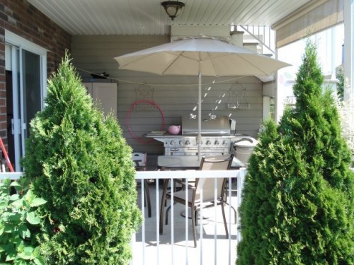 Cour - 7840 Rue Lemelin, Brossard, QC - Outdoor